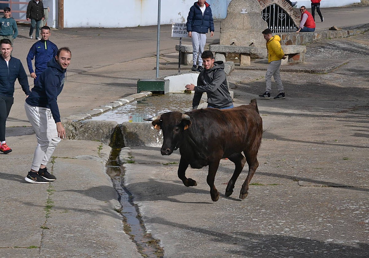 Foto de Mural Graffiti Saelices en Saelices el Chico, Salamanca